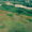 Козин продажа элитных участков земли от 5га с прямым выходом на р.Козинка - <ro>Изображение</ro><ru>Изображение</ru> #6, <ru>Объявление</ru> #1686348