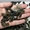 Куплю натуральный камень Молдавит (Влтавин) - <ro>Изображение</ro><ru>Изображение</ru> #2, <ru>Объявление</ru> #1715367