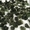 Куплю натуральный камень Молдавит (Влтавин) - <ro>Изображение</ro><ru>Изображение</ru> #5, <ru>Объявление</ru> #1715367
