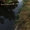 Продам земельный участок под жилую застройку в селе Гоголев, Киевской области - <ro>Изображение</ro><ru>Изображение</ru> #2, <ru>Объявление</ru> #1716103
