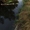 Земельный участок под жилую застройку в Киевской области, 12 соток- село Гоголев - <ro>Изображение</ro><ru>Изображение</ru> #2, <ru>Объявление</ru> #1716361