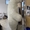 Начните продвижение с надувным костюмом белого медведя - <ro>Изображение</ro><ru>Изображение</ru> #2, <ru>Объявление</ru> #1717053