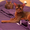 Абиссинский котенок - роскошный подарок для ваших близких  #1493089