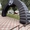 Надувные Арки Старт Финиш для гонок и марафонов - <ro>Изображение</ro><ru>Изображение</ru> #3, <ru>Объявление</ru> #1720370