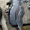 Ремонт топливных баков, бензобаков Киев - <ro>Изображение</ro><ru>Изображение</ru> #2, <ru>Объявление</ru> #1721511