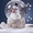 Снежный музыкальный шар - <ro>Изображение</ro><ru>Изображение</ru> #9, <ru>Объявление</ru> #1593167