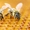 Продаются пчелосемьи, недорого. Продам бджіл недорого. - <ro>Изображение</ro><ru>Изображение</ru> #2, <ru>Объявление</ru> #1725230