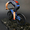 Подарочная шаржевая статуэтка Велосипедист - <ro>Изображение</ro><ru>Изображение</ru> #3, <ru>Объявление</ru> #1728797