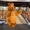 Медведь коричневый костюм надувной - <ro>Изображение</ro><ru>Изображение</ru> #3, <ru>Объявление</ru> #1731775