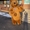 Медведь коричневый костюм надувной - <ro>Изображение</ro><ru>Изображение</ru> #4, <ru>Объявление</ru> #1731775