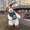 Пес Патрон костюм надувной - <ro>Изображение</ro><ru>Изображение</ru> #4, <ru>Объявление</ru> #1733104