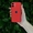 iPhone 12MINi 128gb RED - ідеальний відновлений смартфон #1733995