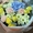Квіти з доставкою в Києві, оптові ціни - <ro>Изображение</ro><ru>Изображение</ru> #6, <ru>Объявление</ru> #1739172