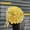 Доставка квітів по Києву, Херсону та Миколаєву! - <ro>Изображение</ro><ru>Изображение</ru> #2, <ru>Объявление</ru> #1738820