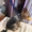 Стрижка, Груминг, мелких пород собак и котиков с выездом на дом Дарницкий р-н - <ro>Изображение</ro><ru>Изображение</ru> #3, <ru>Объявление</ru> #1740826