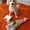 Стрижка,  Груминг,  мелких пород собак и котиков с выездом на дом Дарницкий р-н #1740826