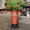 Фігура надувна Дерево #1743424