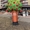 Фігура надувна Дерево - <ro>Изображение</ro><ru>Изображение</ru> #2, <ru>Объявление</ru> #1743424