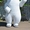 Надувний костюм «Білий Ведмідь» від виробника - <ro>Изображение</ro><ru>Изображение</ru> #3, <ru>Объявление</ru> #1744759