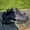 Кросівки Nike Air Max plus TN France NK071 - <ro>Изображение</ro><ru>Изображение</ru> #10, <ru>Объявление</ru> #1746202