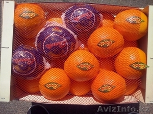 Апельсины, мандарины, лимон, хурма оптом в Испании - <ro>Изображение</ro><ru>Изображение</ru> #2, <ru>Объявление</ru> #1485096