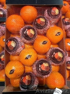Апельсины, мандарины, лимон, хурма оптом в Испании - <ro>Изображение</ro><ru>Изображение</ru> #1, <ru>Объявление</ru> #1485096