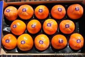 Апельсины, мандарины, лимон, хурма оптом в Испании - <ro>Изображение</ro><ru>Изображение</ru> #9, <ru>Объявление</ru> #1485096