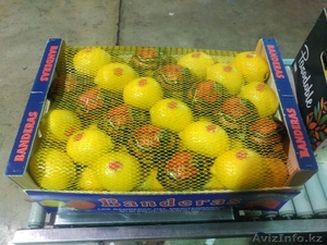 Апельсины, мандарины, лимон, хурма оптом в Испании - <ro>Изображение</ro><ru>Изображение</ru> #7, <ru>Объявление</ru> #1485096