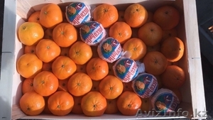 Апельсины, мандарины, лимон, хурма оптом в Испании - <ro>Изображение</ro><ru>Изображение</ru> #3, <ru>Объявление</ru> #1485096