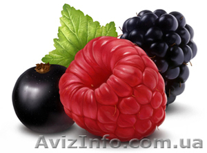 Замороженные ягоды, плоды и овощи. - <ro>Изображение</ro><ru>Изображение</ru> #1, <ru>Объявление</ru> #5859