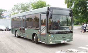 Автобус МАЗ 206(226) - <ro>Изображение</ro><ru>Изображение</ru> #1, <ru>Объявление</ru> #32593