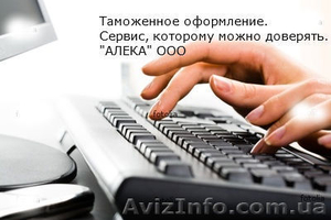 ПРОБЛЕМЫ С ТАМОЖНЕЙ? МЫ ПОМОЖЕМ! - <ro>Изображение</ro><ru>Изображение</ru> #1, <ru>Объявление</ru> #42936