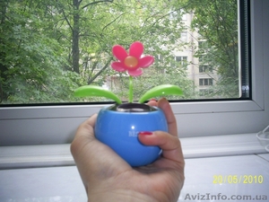  flip flap Солнечный цветочек - <ro>Изображение</ro><ru>Изображение</ru> #2, <ru>Объявление</ru> #40542