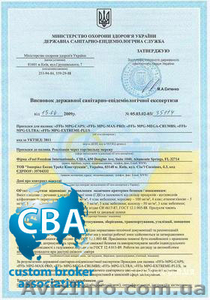 Гигиенический Сертификат - <ro>Изображение</ro><ru>Изображение</ru> #1, <ru>Объявление</ru> #83969