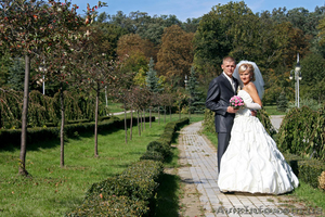 Свадебная фотосъемка, фотограф - <ro>Изображение</ro><ru>Изображение</ru> #1, <ru>Объявление</ru> #43393