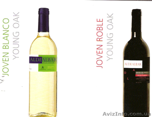Продаем вина из Испании от производителя - <ro>Изображение</ro><ru>Изображение</ru> #5, <ru>Объявление</ru> #159980