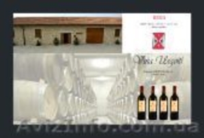 Продаем вина из Испании от производителя - <ro>Изображение</ro><ru>Изображение</ru> #1, <ru>Объявление</ru> #159980