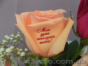 Наклейки на цветы, говорящие цветы, пленка для наклеек на цветы - <ro>Изображение</ro><ru>Изображение</ru> #1, <ru>Объявление</ru> #213407