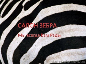 Весенне предложение!!!СКИДКА 40% в салоне "Zebra" - <ro>Изображение</ro><ru>Изображение</ru> #1, <ru>Объявление</ru> #245288