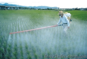 Поставки агрохимии из Китая по заводским ценам - <ro>Изображение</ro><ru>Изображение</ru> #1, <ru>Объявление</ru> #268492
