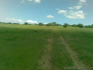 земля симферополь