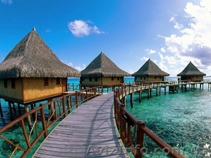 Отпуск на Мальдивах!  - <ro>Изображение</ro><ru>Изображение</ru> #4, <ru>Объявление</ru> #367136