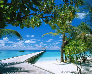 Доминикана - лучший курорт Карибов! - <ro>Изображение</ro><ru>Изображение</ru> #1, <ru>Объявление</ru> #367151