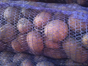 картошка сорт Ароза - <ro>Изображение</ro><ru>Изображение</ru> #1, <ru>Объявление</ru> #385408