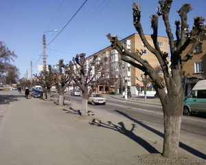 обрезка деревьев киев - <ro>Изображение</ro><ru>Изображение</ru> #1, <ru>Объявление</ru> #369976