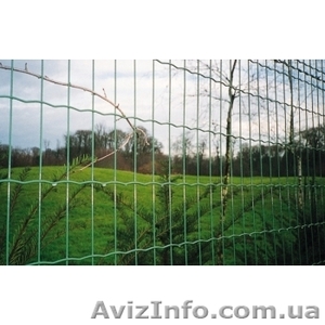 Забор из сетки с полимерным покрытием - <ro>Изображение</ro><ru>Изображение</ru> #3, <ru>Объявление</ru> #373195