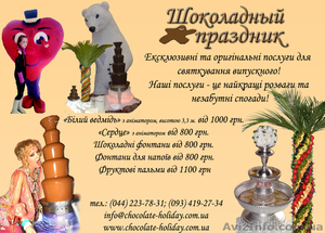 Фонтаны для напитков, фонтаны шоколадные! - <ro>Изображение</ro><ru>Изображение</ru> #1, <ru>Объявление</ru> #371031