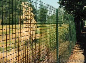 Забор из сетки с полимерным покрытием - <ro>Изображение</ro><ru>Изображение</ru> #1, <ru>Объявление</ru> #373195