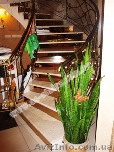 Заказать монолитные лестницы в Житомире