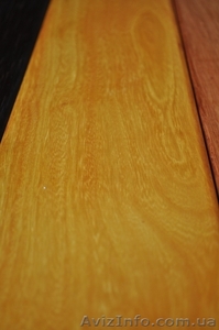 Желтое дерево,  Пау-амарелло (Амарилло, Бразильское желтое дерево)